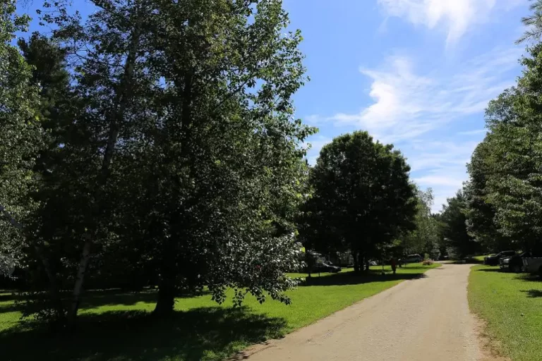 terrain-plateau-camping-pont-couvert