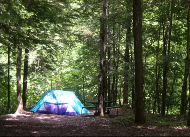 Secret_Camping_du_Pont_Couvert_Estrie